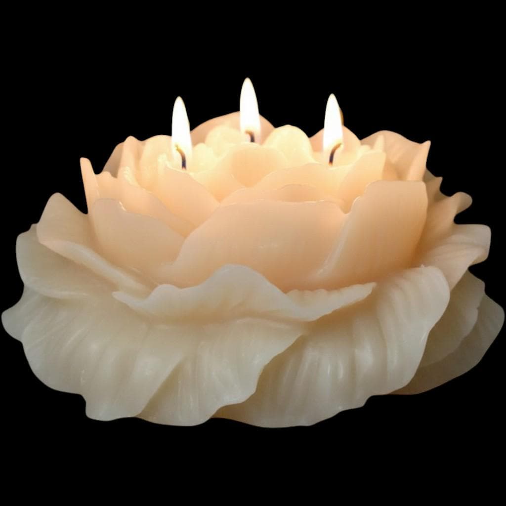 A Valentine's Day Classic Candle - The Shack's 3-Wicked Blooming Peony Masterpiece