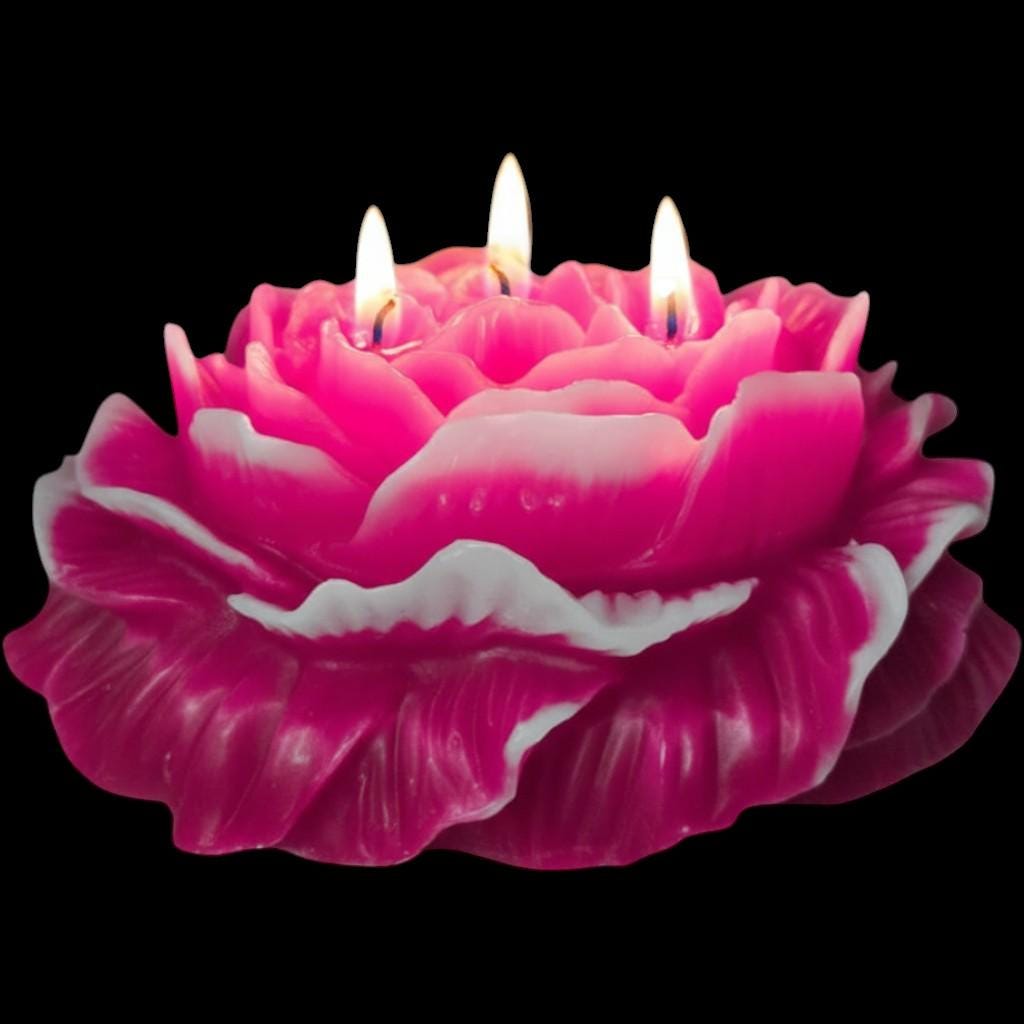 A Valentine's Day Classic Candle - The Shack's 3-Wicked Blooming Peony Masterpiece
