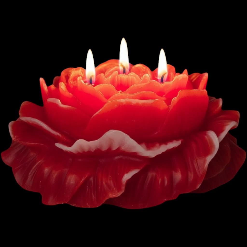 A Valentine's Day Classic Candle - The Shack's 3-Wicked Blooming Peony Masterpiece