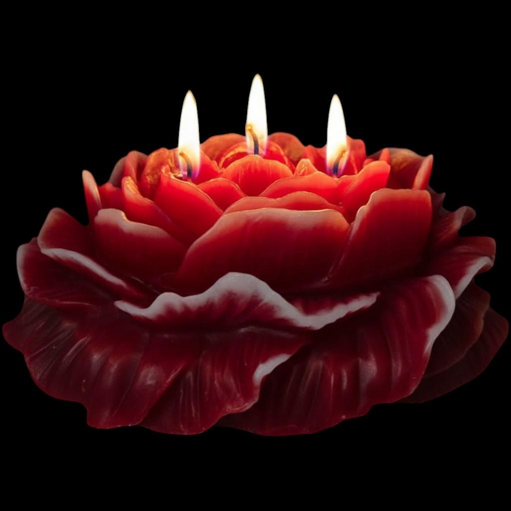 A Valentine's Day Classic Candle - The Shack's 3-Wicked Blooming Peony Masterpiece
