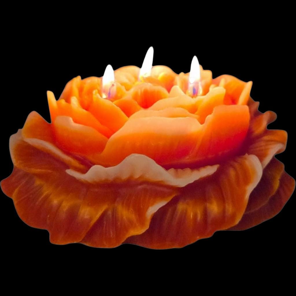 A Valentine's Day Classic Candle - The Shack's 3-Wicked Blooming Peony Masterpiece