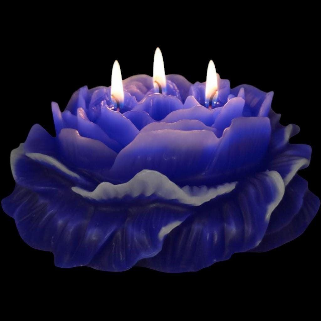 A Valentine's Day Classic Candle - The Shack's 3-Wicked Blooming Peony Masterpiece