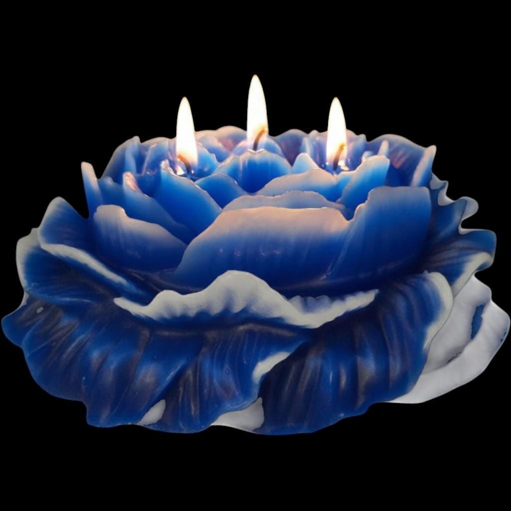 A Valentine's Day Classic Candle - The Shack's 3-Wicked Blooming Peony Masterpiece